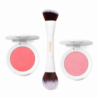 Blush Transition Kit