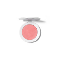 Blush Transition Kit