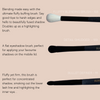 13 Piece Essential Brush Set