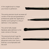 13 Piece Essential Brush Set